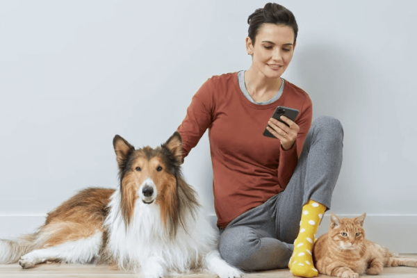 petco pet insurance